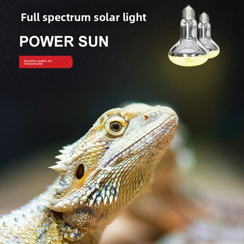 Reptizoo สัตว์เลื้อยคลาน Sun L - Calcium Powder Reptile บทวิจารณ์และราคา