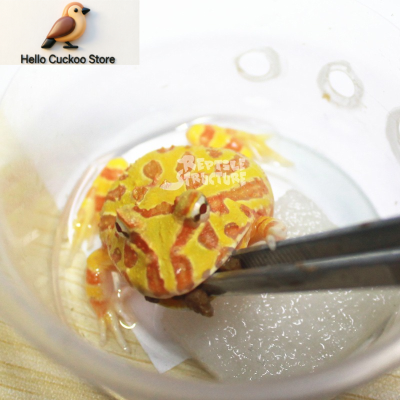 อาหารกบเขาแบบเม็ดและผง อาหารสั - Calcium Powder Reptile บทวิจารณ์และราคา