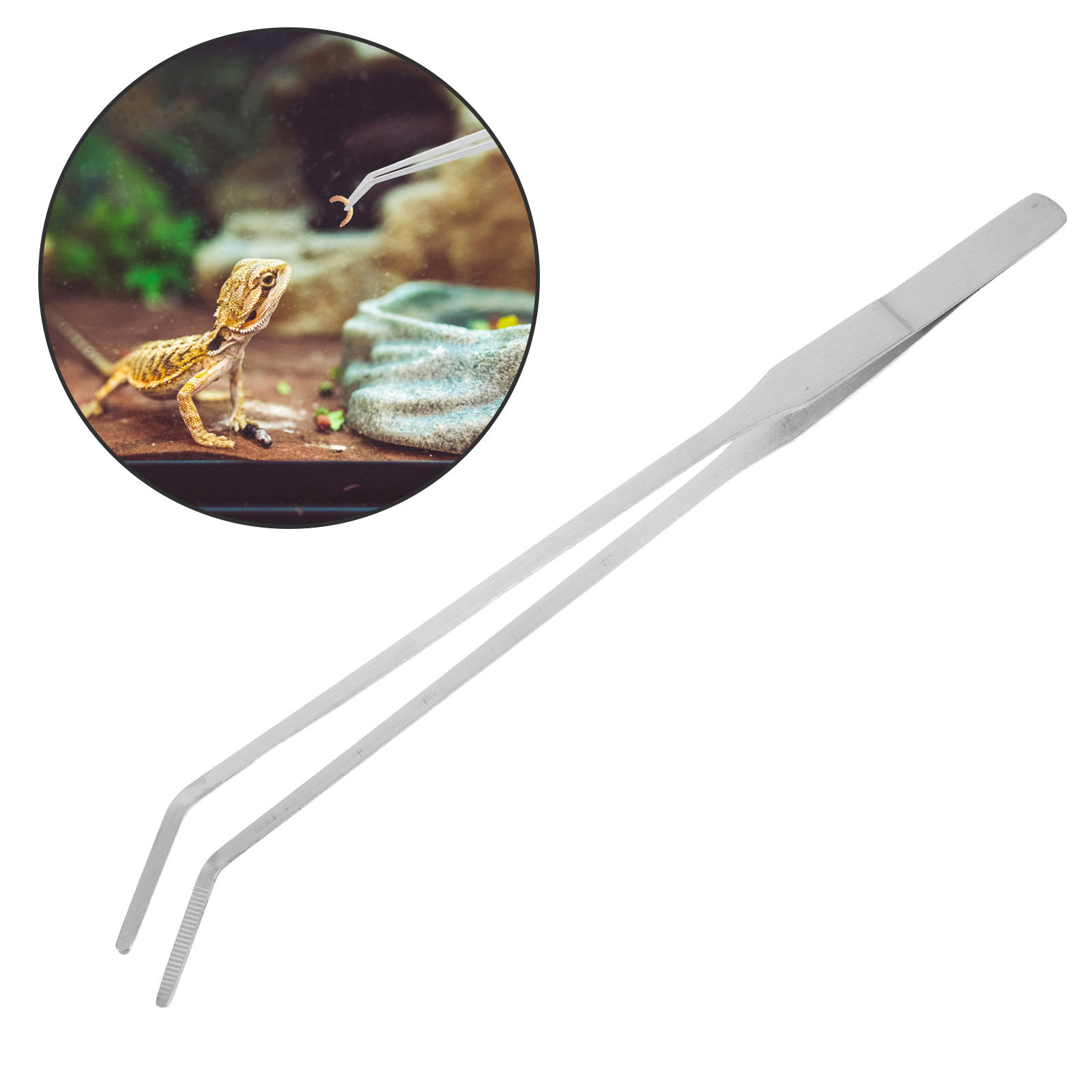 6 ชิ้น คีมคีบอาหารสัตว์เลื้อยค - Feeding Tong Stainless บทวิจารณ์และราคา