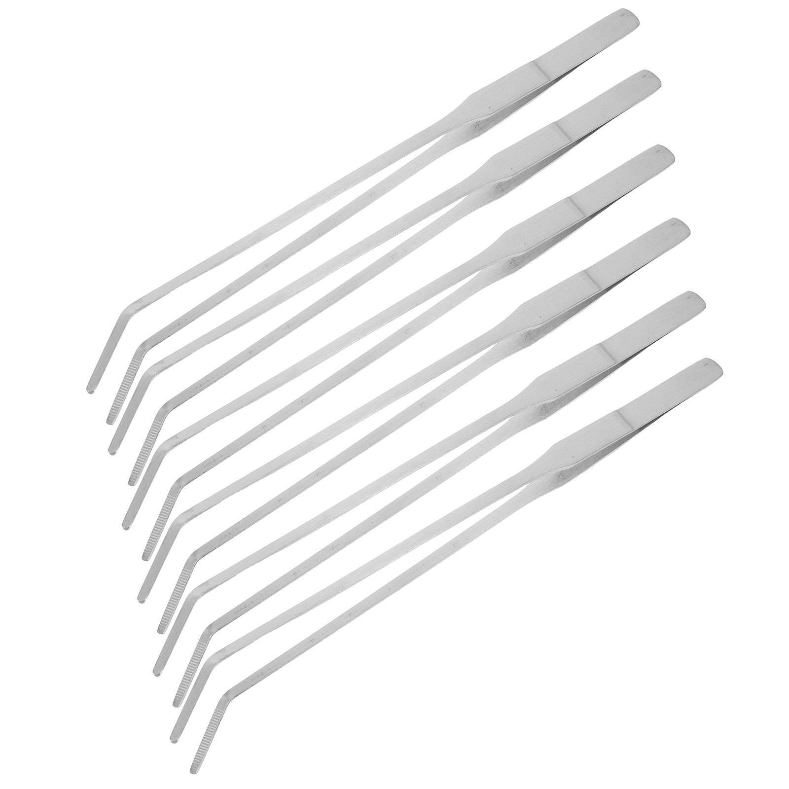 6 ชิ้น แหนบปลายมนสเตนเลสสตีลยา - Feeding Tong Stainless บทวิจารณ์และราคา