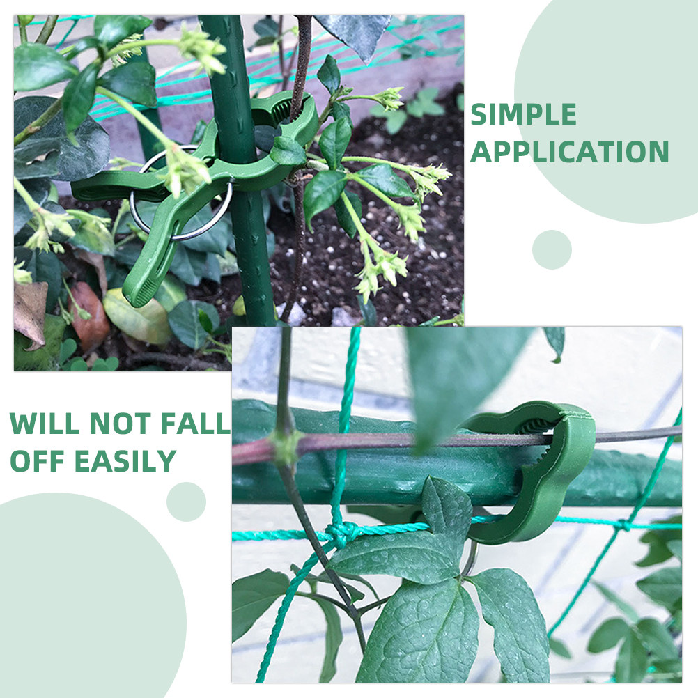60 ชิ้น คลิปพลาสติกสำหรับค้ำยั - Vine Climbing Plastic บทวิจารณ์และราคา