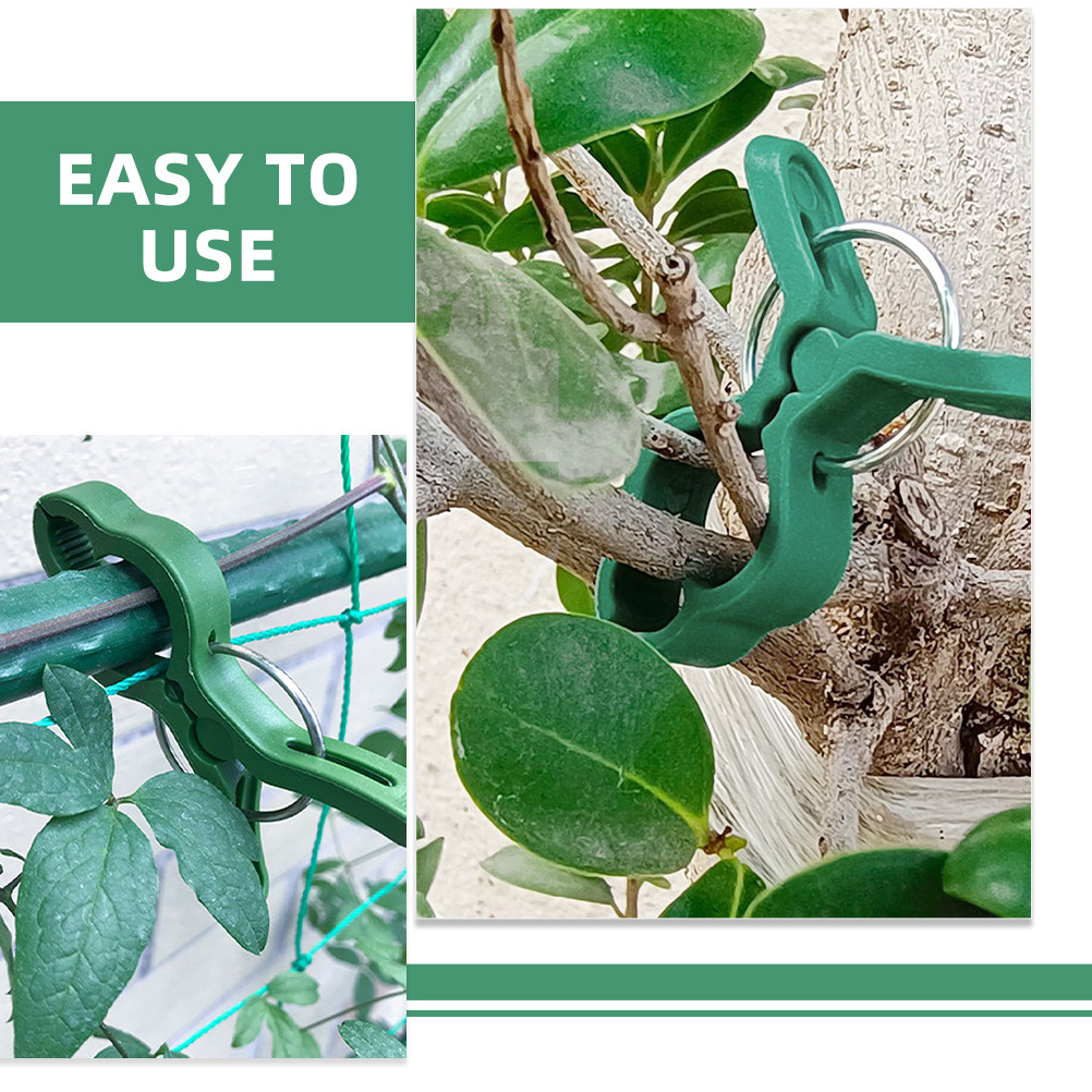 60 ชิ้น คลิปพลาสติกสำหรับค้ำยั - Vine Climbing Plastic บทวิจารณ์และราคา