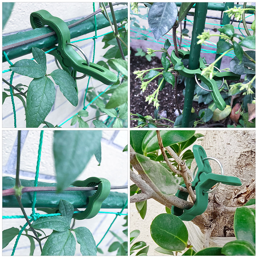 60 ชิ้น คลิปพลาสติกสำหรับค้ำยั - Vine Climbing Plastic บทวิจารณ์และราคา